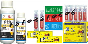 家居日用品 日常生活中的貼心伴侶